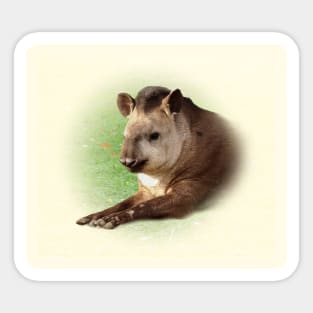 Tapir Sticker